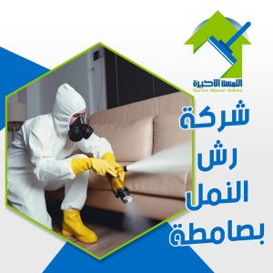 شركة رش النمل بصامطة مكافحة النمل نهائيا بطرق آمنة وفعالة