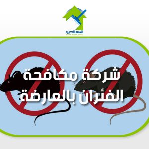 شركة مكافحة الفئران بالعارضة تخلص من الفئران نهائيا