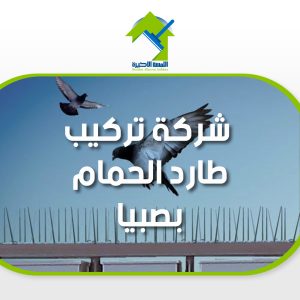 شركة تركيب طارد الحمام بصبيا حلول فعالة لمنع تجمع الطيور