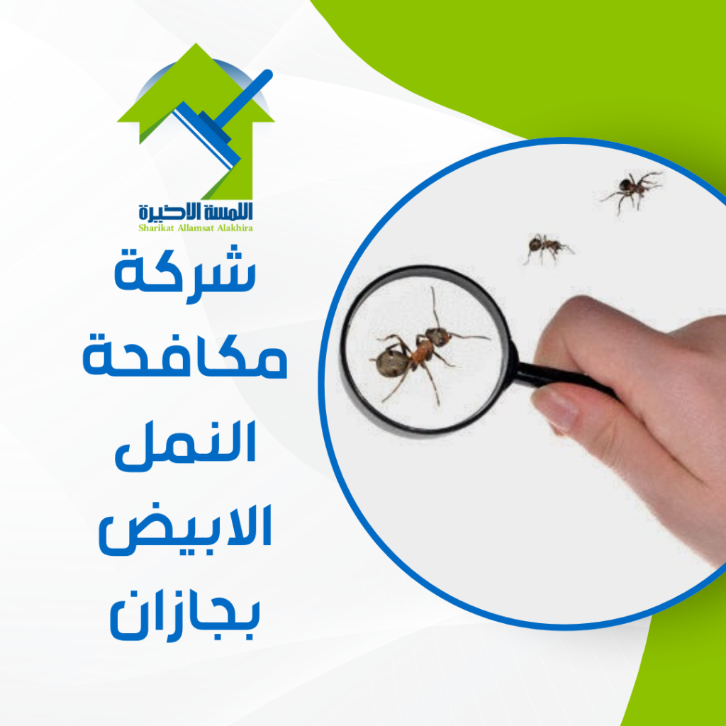 شركة مكافحة النمل الابيض بجازان