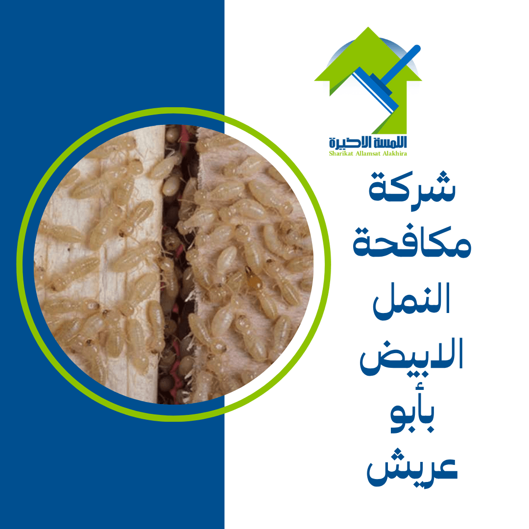 شركة مكافحة النمل الابيض بأبو عريش